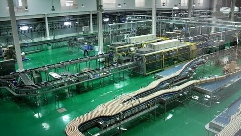 火腿肠加工设备：揭秘选型背后的关键要素